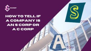 How to tell if a company is an S corp or a C corp