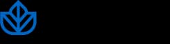 Ivy logo