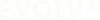 Evolv logo