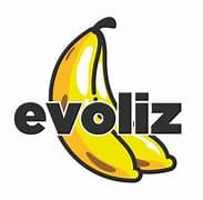 Evoliz logo