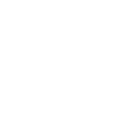 Metro Accounting System logo