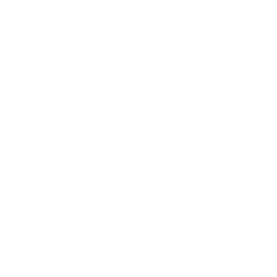Global-Z logo