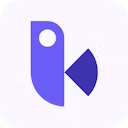 Birdview PSA logo