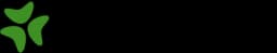Bloomerang logo