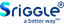 Signature logo