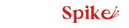 VenueSpike logo