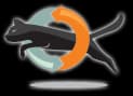 RescueConnection logo