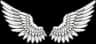 Sancturease logo