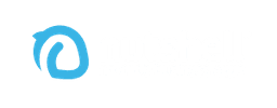 Nutshell Apps logo
