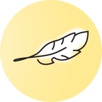 LightApply logo