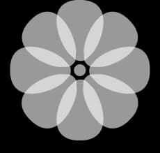 SimpleSpa logo