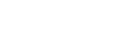 DetailProPOS logo