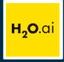 H2O Driverless AI logo