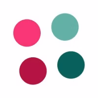 Dressipi logo