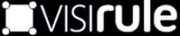 VisiRule logo