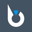Brillium Solution logo