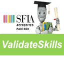 ValidateSkills logo