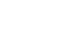 FMX logo