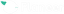 Flaneer logo