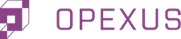 eCase Audit logo