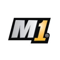 Manager SE logo
