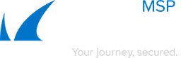 Barracuda Intronis Backup logo