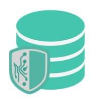 DSE Backup Expert Pro logo