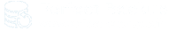 Perfect Backup logo