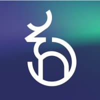Narvi logo