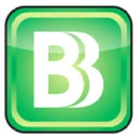 BizBudg Online logo