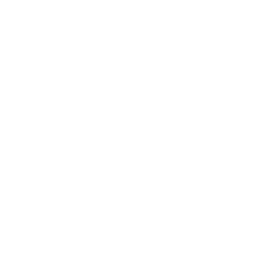REOLIÑ budget logo