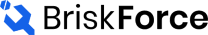 BriskForce logo
