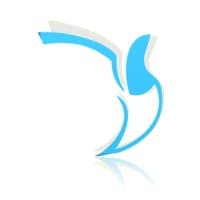 dataSAVVY logo