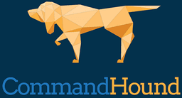 Control Point Command logo