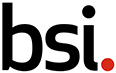BSI Connect Custom logo