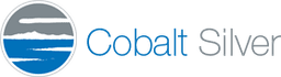 Cobalt Silver logo