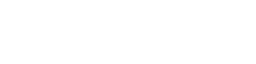 Stayflexi logo