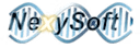 NexySoft-DC logo