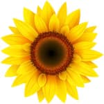 VideoPsalm logo