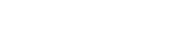 Zoidii logo