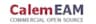 CalemEAM logo