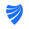 Visdum logo