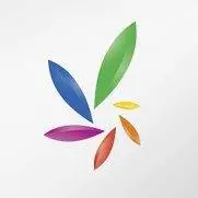 Palo Pro logo