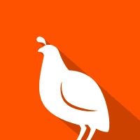 Quail logo