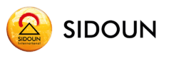 SIDOUN Globe AVA logo