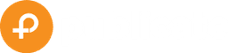 Publicate logo