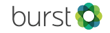 Burst logo