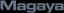 Magaya Supply Chain logo