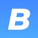 Bizzey logo