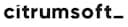Citrumsoft logo